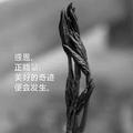灬小霖 · 博瑞车主·车龄7年头像