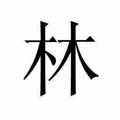 林皓2头像