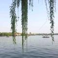 左岸bluesky头像