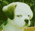 这个名字绝对吊炸天头像