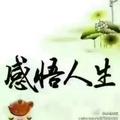 感悟人生245694786头像
