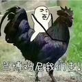 心照穆清头像