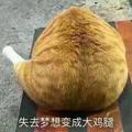 Mr丶太阳先生头像