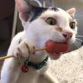 肾结石你大哥头像