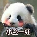 老子曰无所畏惧头像