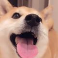 她爱的人么头像