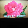 用户50536060085头像