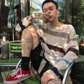 不骚不养猪头像