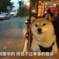 用户36435590688头像
