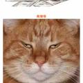 老刘130406708头像