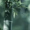 润东安防头像