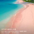 回家买奥迪s4辣鸡车头像