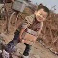 向奔948头像