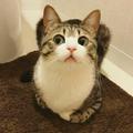 勿忘初衷14712头像