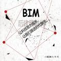 小BIM大作为头像