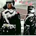 霍85Y头像