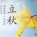 适儿459头像