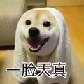 一笑8957头像