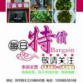 食丰园头像