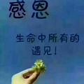 密码里的故事头像