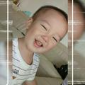 辉G太狼头像