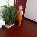 离家的男人981头像