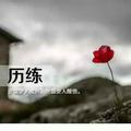 人淡如菊860头像