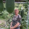 黄帝668头像