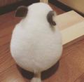 乱跑的窜窜头像