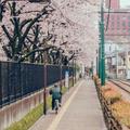 周礼804头像