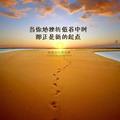 青青清豹头像