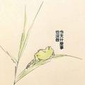 昔往矣447头像