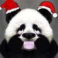 Pawn头像