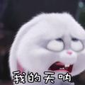 用户267690774 · 景逸X5车主·车龄6年头像