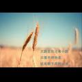 倔强的考研狗头像
