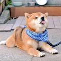 逆境lyy头像