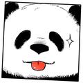 ZYinininininin头像