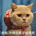 大喵🐈头像