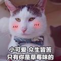 许佳🌺仔头像
