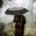 雨中人 · 深蓝S07车主·车龄半年头像
