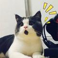 M🎈.❤️Su。头像