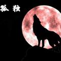 夜狼1736头像