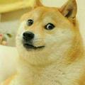一。头像