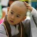 宝哥头像