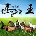 王贺君头像