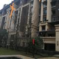 春天来了头像