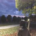 聪明的海燕724头像