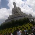 小刘头像
