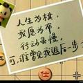 用户5337113792689头像