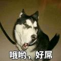 孤影少杰GG · 星瑞车主·车龄1年头像